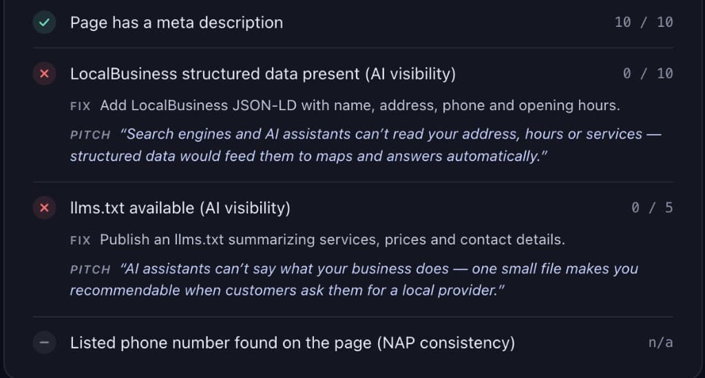 Website audit with pass, fail, and a call pitch